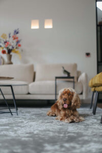 Modulair wonen- hoe je met losse bankelementen een nieuwe zithoek creëert