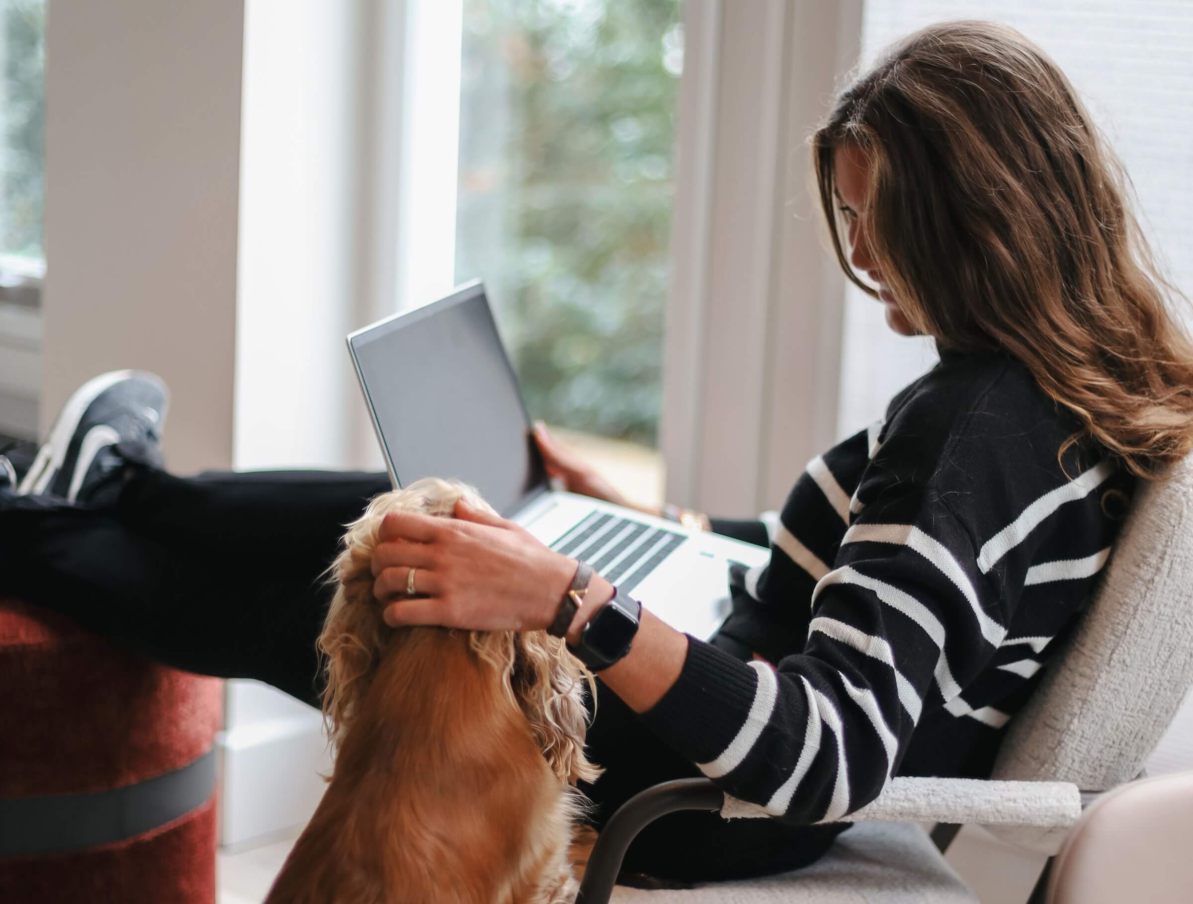 Welke stof past bij welk huisdier